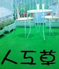 人工草