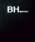 BH 窗紗系列II 第二頁