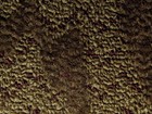 范登伯格 辰星系列 地毯