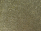 G.P Silk Style Wallcovering 壁布 第二頁