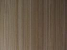 STUDIO 465 ATHENS.003 壁紙 第三頁