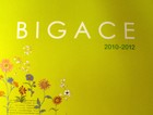 BIGACE 壁紙