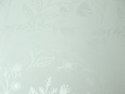 FIOTON 壁紙 第二頁