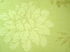 Florient 禾洛倫 壁紙 第三頁