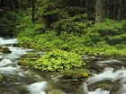 Photowall 風景壁紙 第二頁