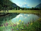 Photowall 風景壁紙 第三頁