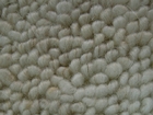 新波麗大小羊毛系列 地毯