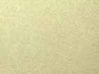 PLATO 柏拉圖 環保專用壁紙 第三頁