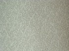 FOCUS II 壁紙 第二頁