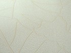 Natura wallcovering 娜度拉 壁紙 第二頁