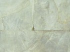 Dazzlepear 壁紙 第三頁