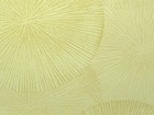 CALYPSO 壁紙 第三頁