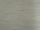 SLIM BODY 司林巴帝 壁紙 第三頁