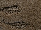 范登伯格 卡特系列 地毯