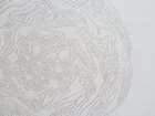 格萊思 Grace 壁布 第三頁
