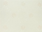 Aurora 極光 壁紙 第五頁