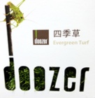  Doozer 四季草 人工草