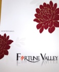 FRTUNE VALLEY 家飾布 窗簾