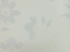 MIYA 壁紙  第二頁