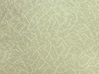 Hormony 鼎極 壁紙 第二頁