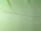 邑特 第二頁
