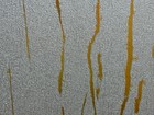 GOLDEN FLOWERS 黃金甲 壁紙