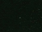 Melodia 窗簾 第二十四頁