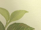 Reserve 壁紙 第三十一頁