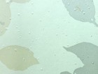 bonita 壁紙 第四頁