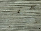 晶鑽 木紋2.0 塑膠地磚
