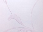 VICTORIA 維多利亞 壁紙 第一頁