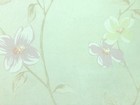 VICTORIA 維多利亞 壁紙 第二頁