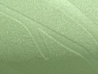 顏素2 第四頁