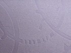 顏素2 第五頁