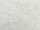 FRESH 1000 壁紙 第二十頁
