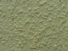 WALL PRO 2013-2016 壁紙 第十二頁