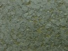 WALL PRO 2013-2016 壁紙 第二十七頁