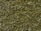 MeiChi Present現代 地毯