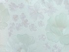 山克拉SaKuRa 壁紙