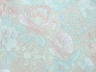 山克拉SaKuRa 壁紙