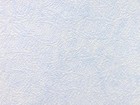 山克拉SaKuRa 壁紙 第五頁