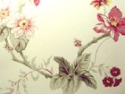 Flora 壁紙 第二頁