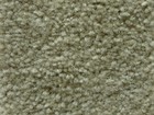 鳳凰 FC1100 素色系列 地毯