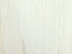 舞春風 壁紙 第四頁