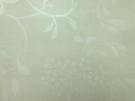 Antilla 安蒂亞 壁紙 520102