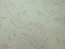 Antilla 安蒂亞 壁紙 520103