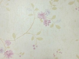 Antilla 安蒂亞 壁紙 520504