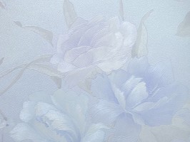 HI-FI 豪派 壁紙 82117