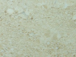 新卡好+木紋 Floorworks 塑膠地磚 B-820