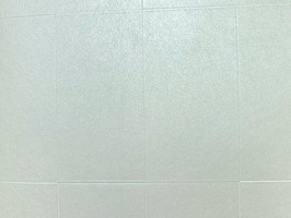 DELUXE1 壁布 DL 12001